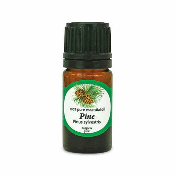 aromáma Pine 100% pure essential oil 5ml.